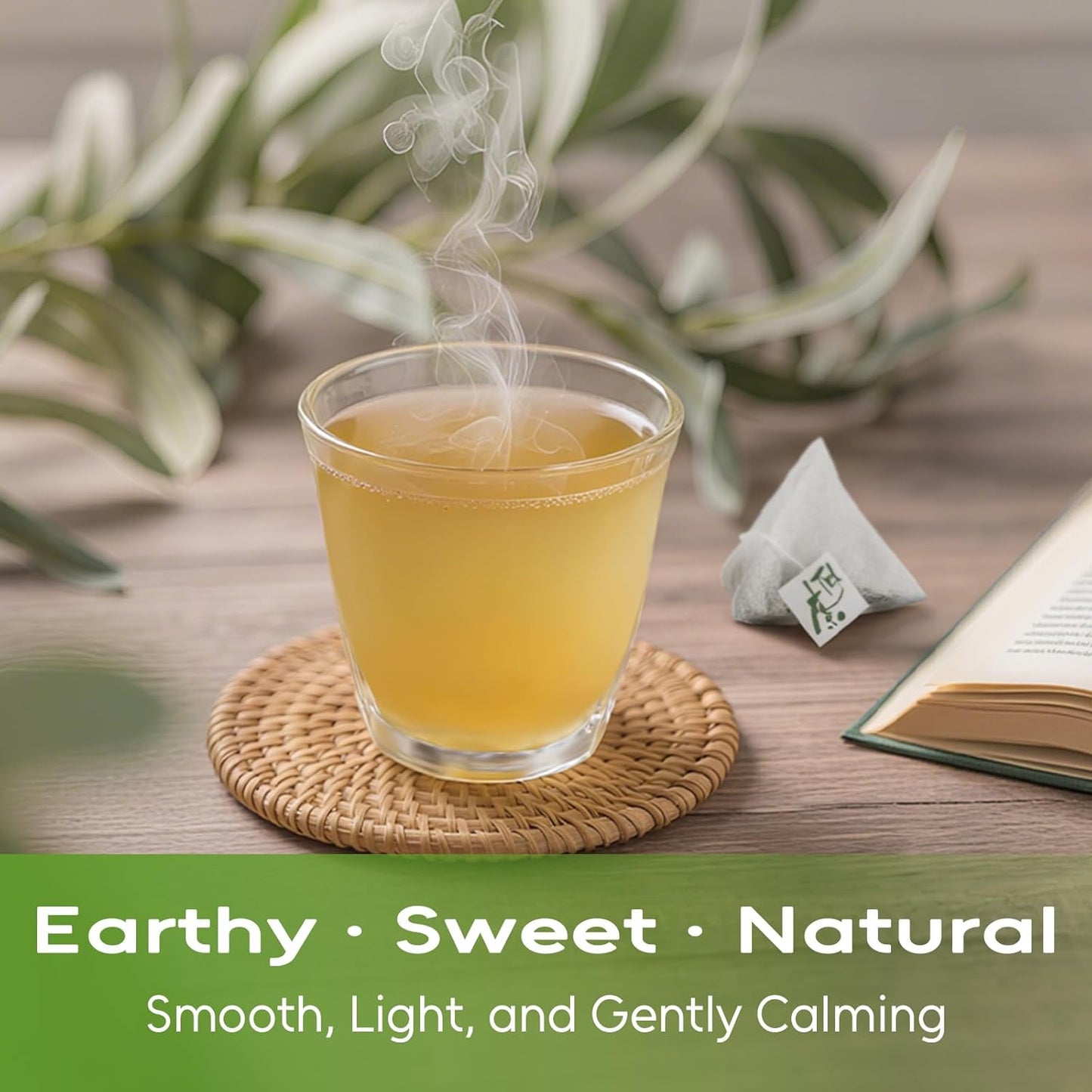Experience the Tropical Delight of Soursop Leaves Tea - 40 Premium Teabags for Digestion, Skin Health & Relaxation