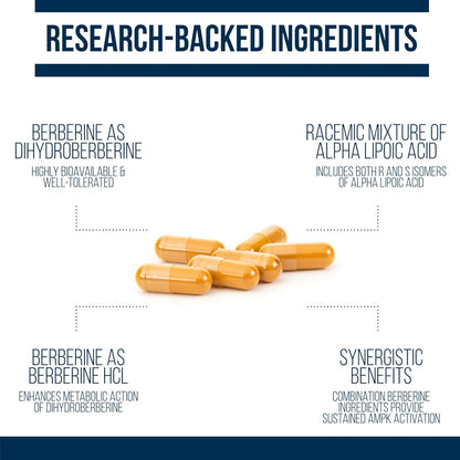 Unlock Your Health Potential with Dihydroberberine Supplement - 200 Mg for Enhanced Cardiovascular, Gut, Thyroid, & Immune Support | 60 Capsules