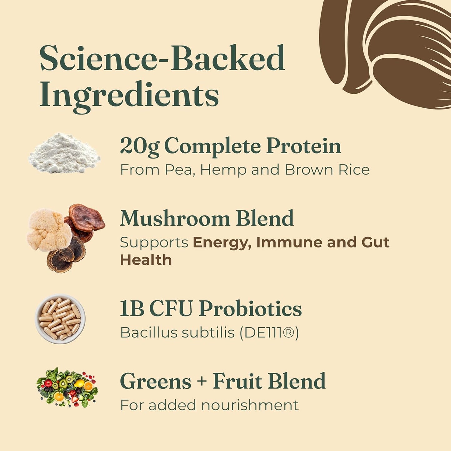Transform Your Health with Creamy Cacao Organic Plant-Based Protein Powder - Infused with Brain-Boosting Mushrooms and Immune-Enhancing Adaptogens | 21.16 Oz